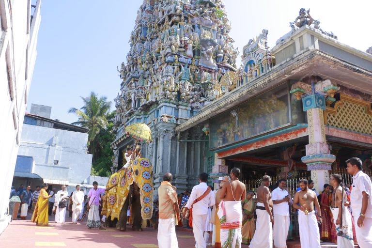 சுத்தசைவம் நூல் யானை ஊர்வலமும் அறிமுகவிழாவும்